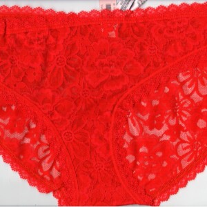 Victoria Secrets Panty