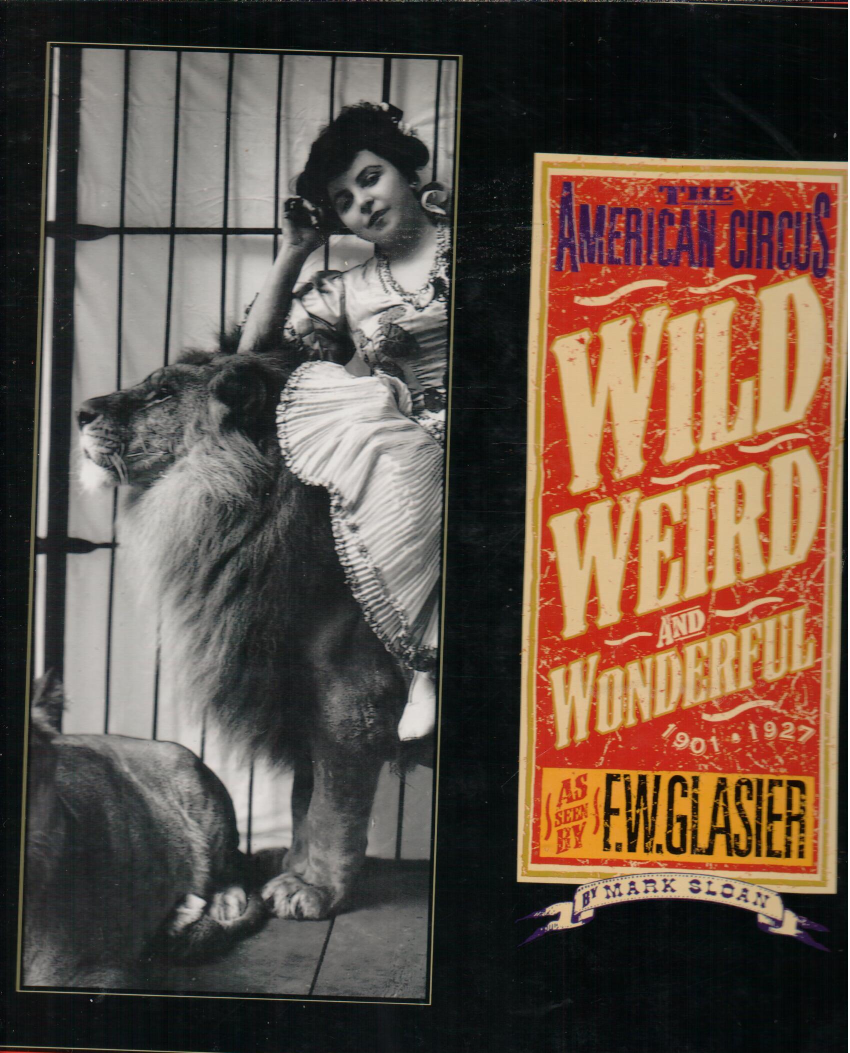 WILD WEIRD AND WONDERFUL , THE AMERICAN BY MARK SLOAN , IN THE USA