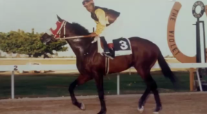 Jamaica Caymanas Park, Bimbo Rodriques at his best