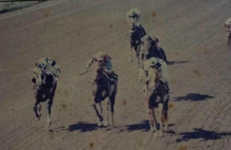 Caymanas Park 1984 Jamaican Derby