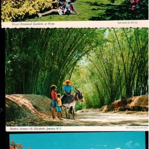 Postcard of Jamaica,