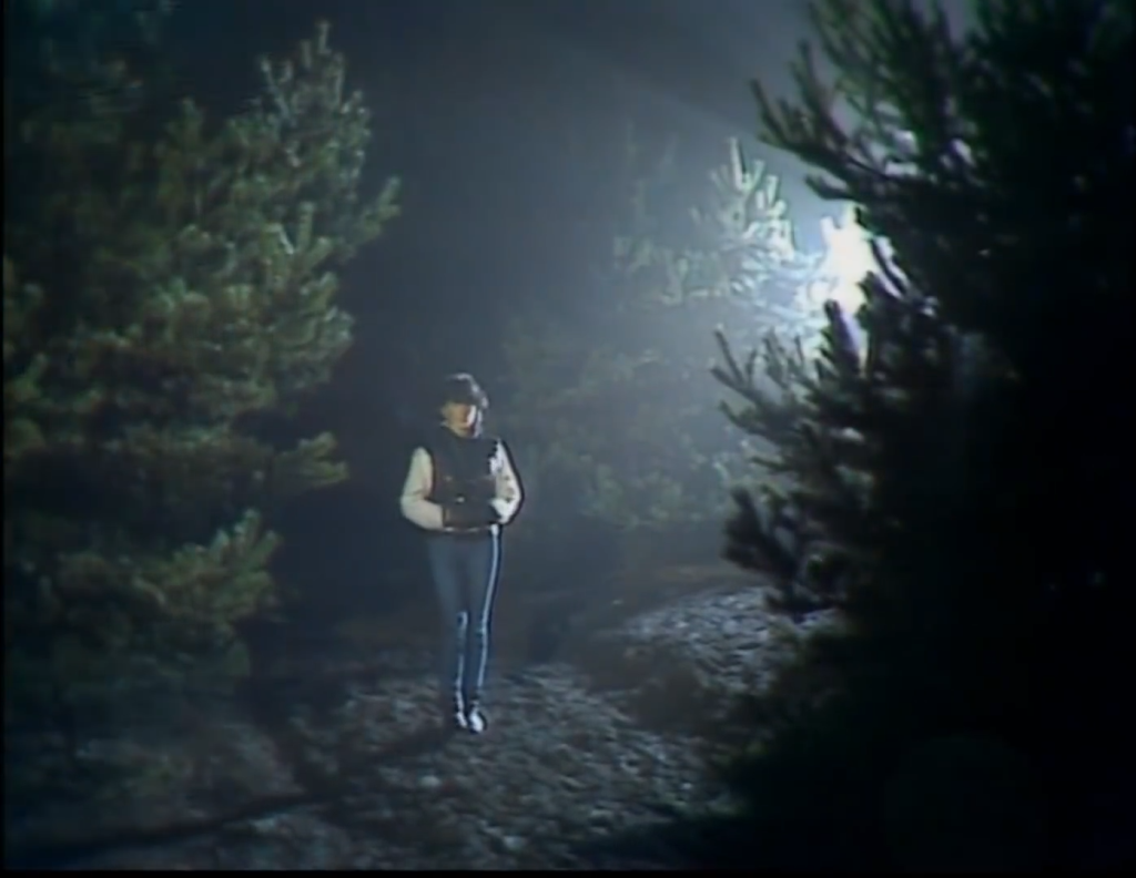 Nena, 99 Red Balloons 1984