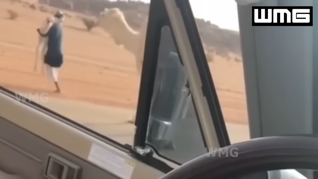 INCREDIBLE MOMENTS CAUGHT ON CAMERA