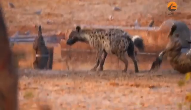 Protected: Age Makes a difference, know when to quit or Dead for Pleasure