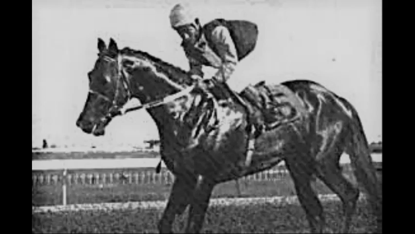 1979 Jamaica Derby, Lucky Ole Son,With Jockey ,Emilio Bimbo Rodriquez