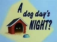 dog night