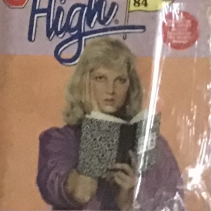 FRANCINE PASCAL SWEET VALLEY HIGH, The Stolen Diary