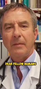 The WHO (World Health Organization)