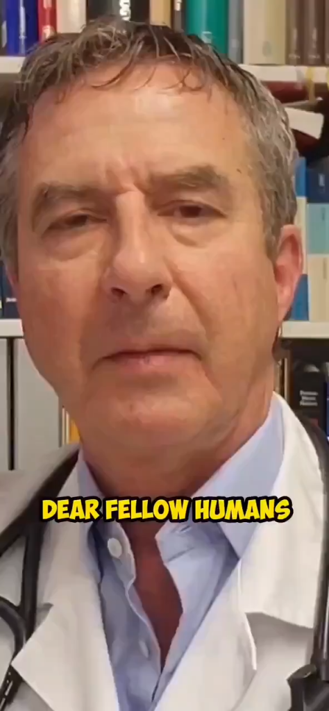 The WHO (World Health Organization)