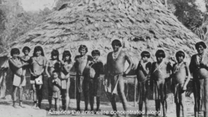 Jamaican Tainos, Survival Indigenous Arawakan Tribe