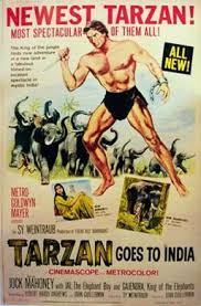 tarzan goes to india - Online Ecommerce And Social Network Platform - Easy eMall