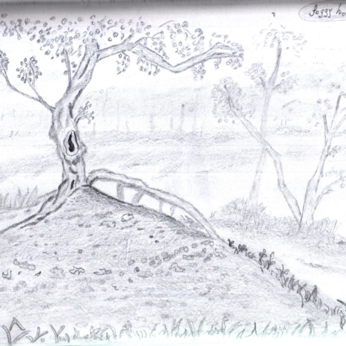 Foggy Hollow – Pencil Sketch (April 2016)