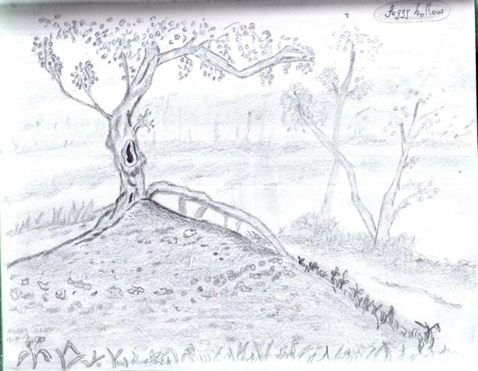 foggy hollow