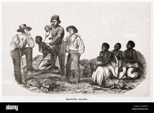 Historical engraving of enslaved people being branded by white men on a hillside, while others sit and watch.