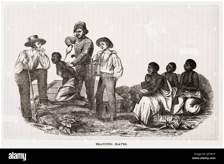 Historical engraving of enslaved people being branded by white men on a hillside, while others sit and watch.