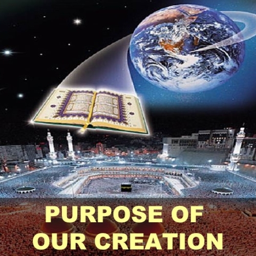 What is the true purpose of humanity on the planet Earth?