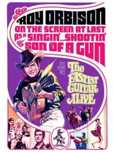 The Fastest Guitar Alive (1967) , Roy Orbison
